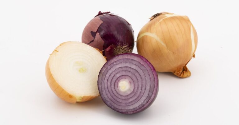 Create A Realistic-Looking Onion on Maya